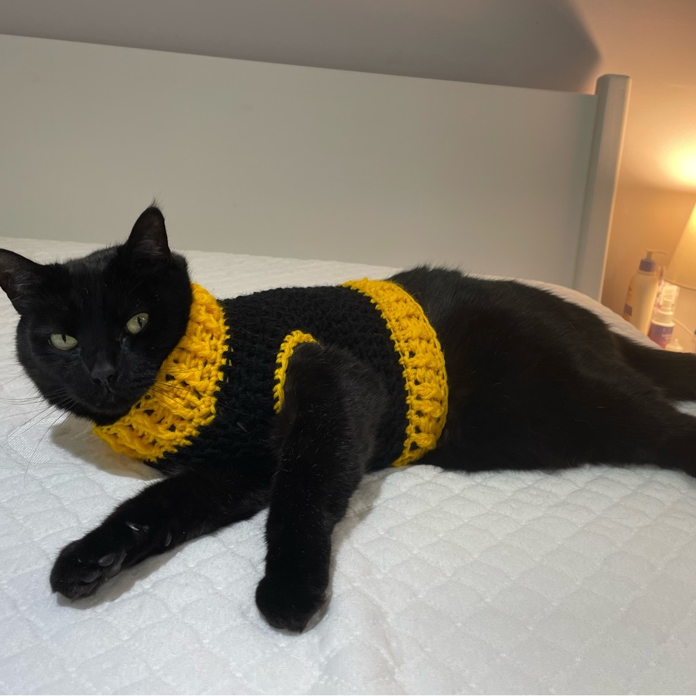 Homemade Cat Crochet Sweater
